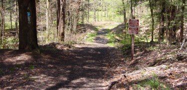 North Country Trail Sign